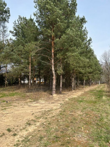 Działka Sprzedaż Mieszkowo 4