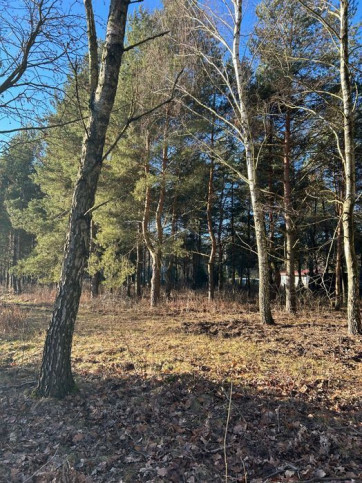 Działka Sprzedaż Mieszkowo 5