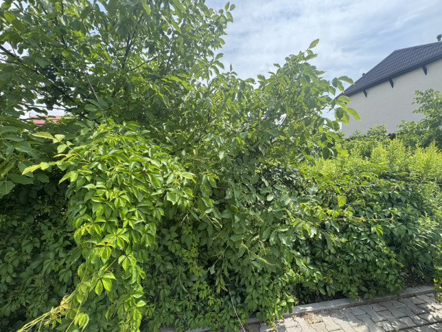 Działka Sprzedaż Rybie 4