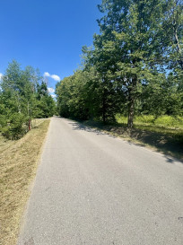 Działka Sprzedaż Borowina