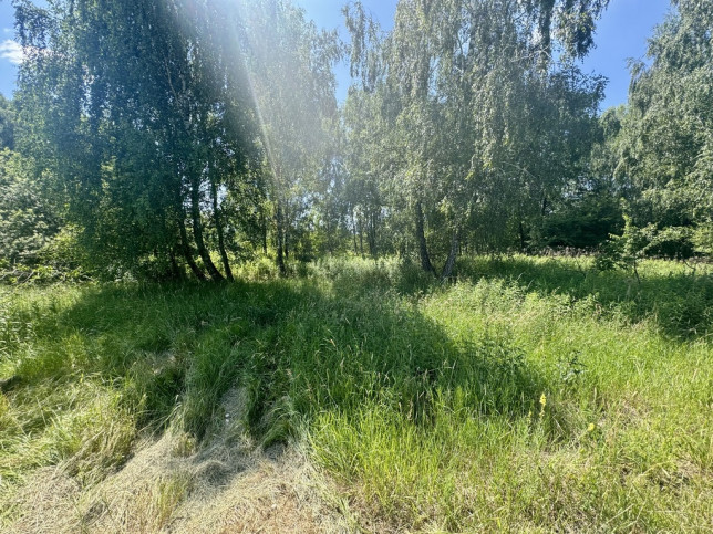 Działka Sprzedaż Borowina 3